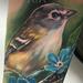 Tattoos - Bird Tattoo - 91704